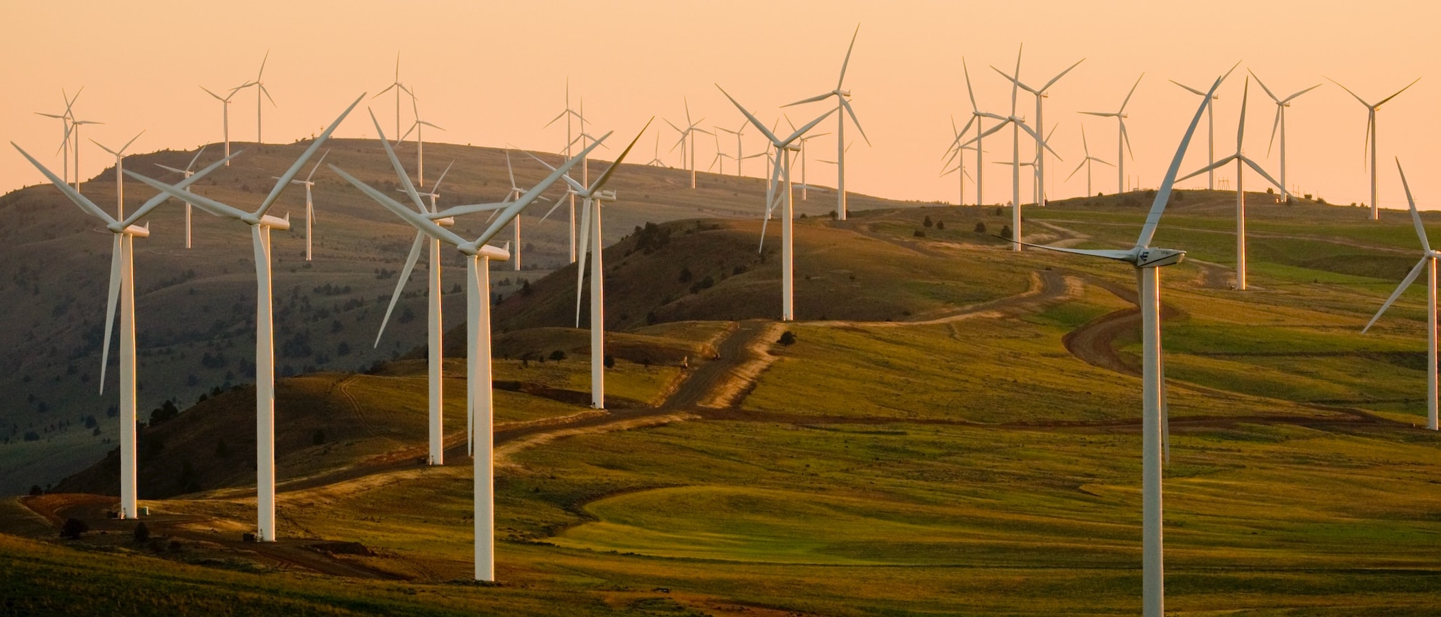 AI and Climate Analysis